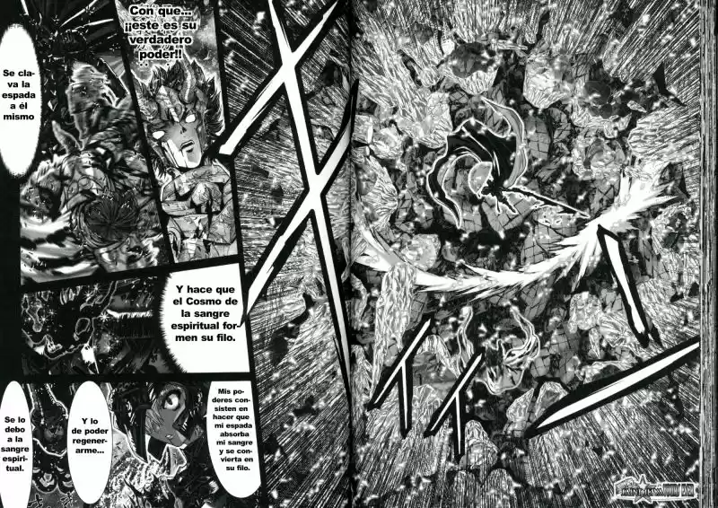 Saint Seiya Episodio G (2002) - Capítulo 55 - Página 10 - LectorTMOo