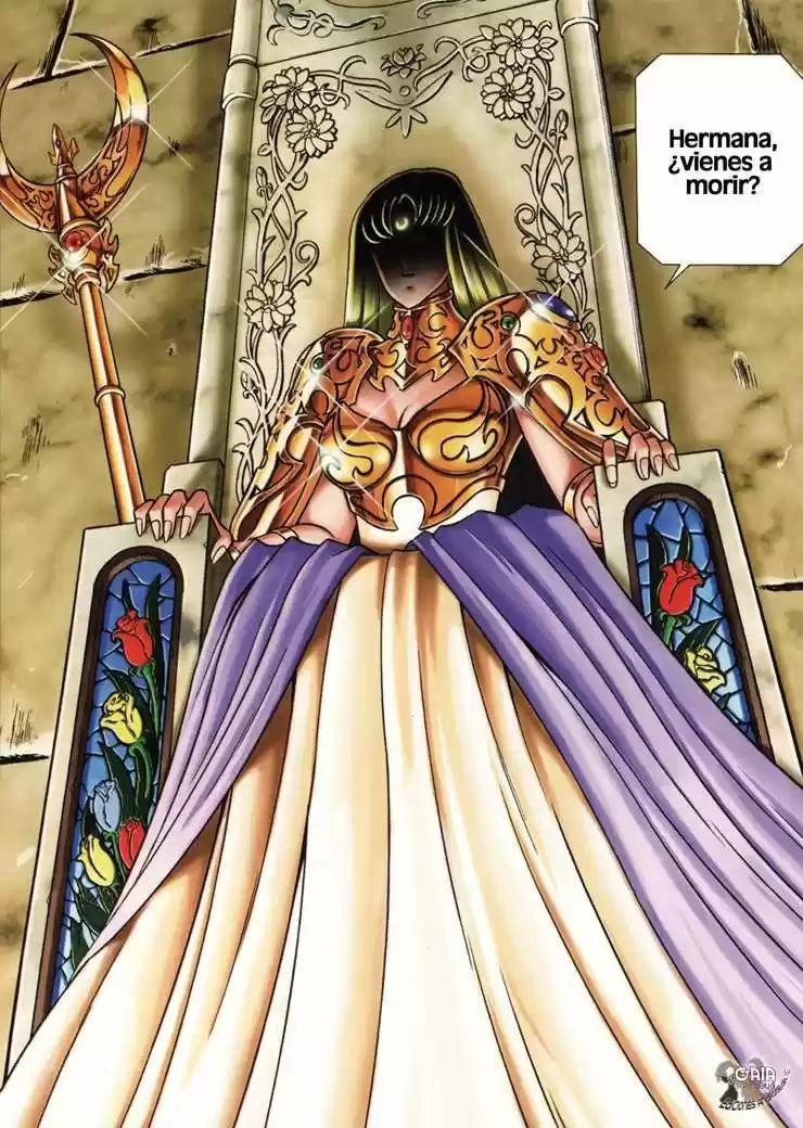 Saint Seiya: Next Dimension (2006) - Capítulo 15 - Página 17 - LectorTMOo