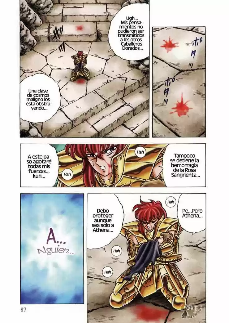 Saint Seiya: Next Dimension (2006) - Capítulo 24 - Página 2 - LectorTMOo