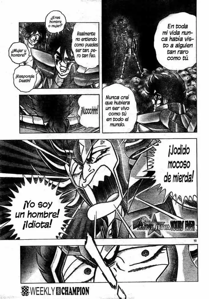 Saint Seiya: Next Dimension (2006) - Capítulo 40 - Página 14 - LectorTMOo