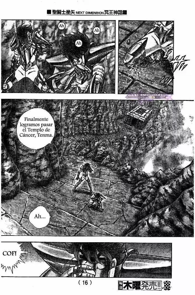 Saint Seiya: Next Dimension (2006) - Capítulo 41 - Página 9 - LectorTMOo