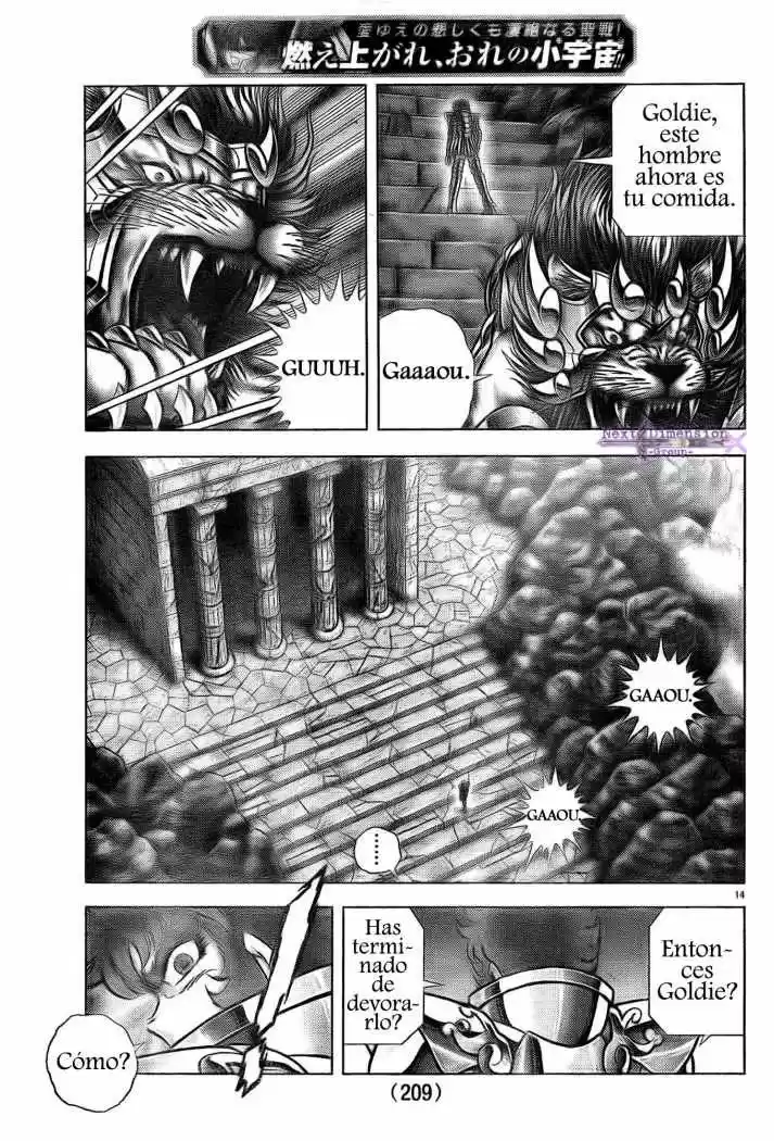 Saint Seiya: Next Dimension (2006) - Capítulo 43 - Página 13 - LectorTMOo