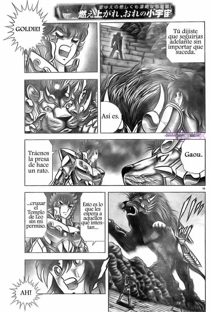 Saint Seiya: Next Dimension (2006) - Capítulo 43 - Página 17 - LectorTMOo