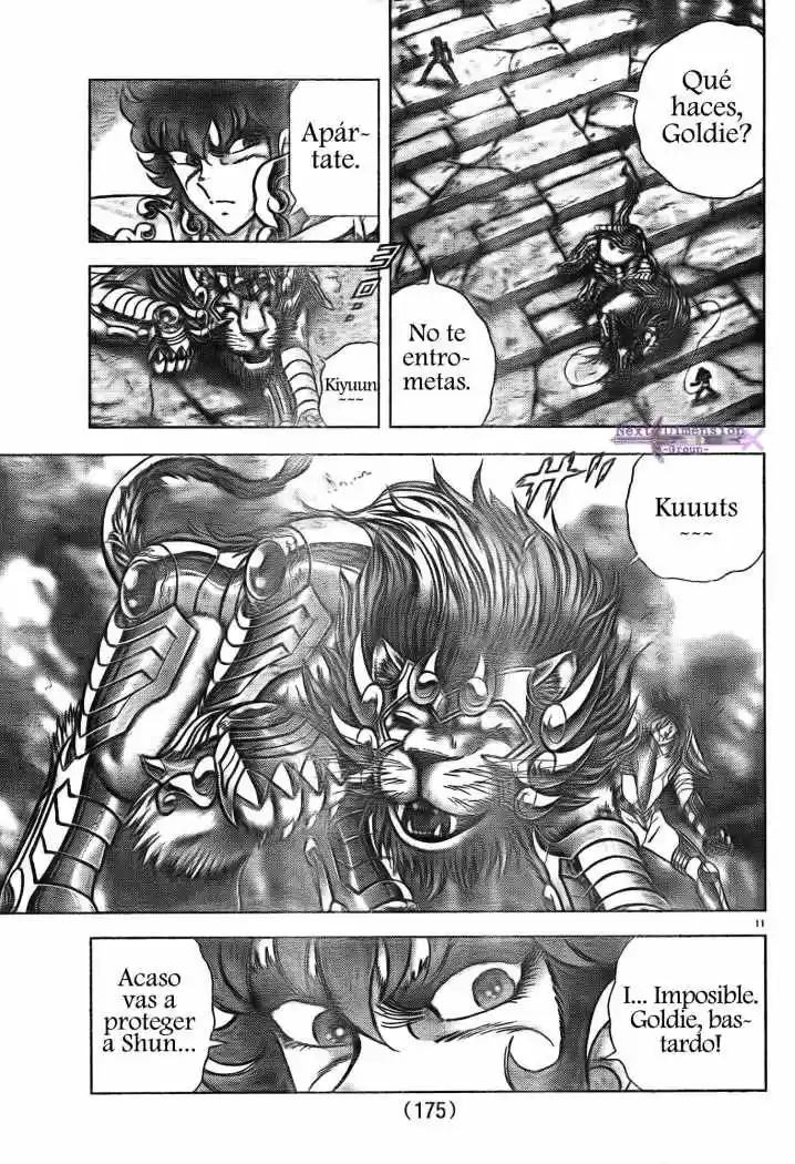 Saint Seiya: Next Dimension (2006) - Capítulo 44 - Página 10 - LectorTMOo