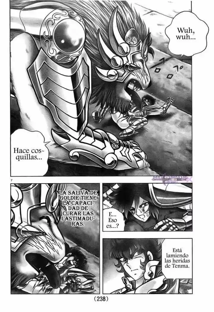 Saint Seiya: Next Dimension (2006) - Capítulo 45 - Página 7 - LectorTMOo