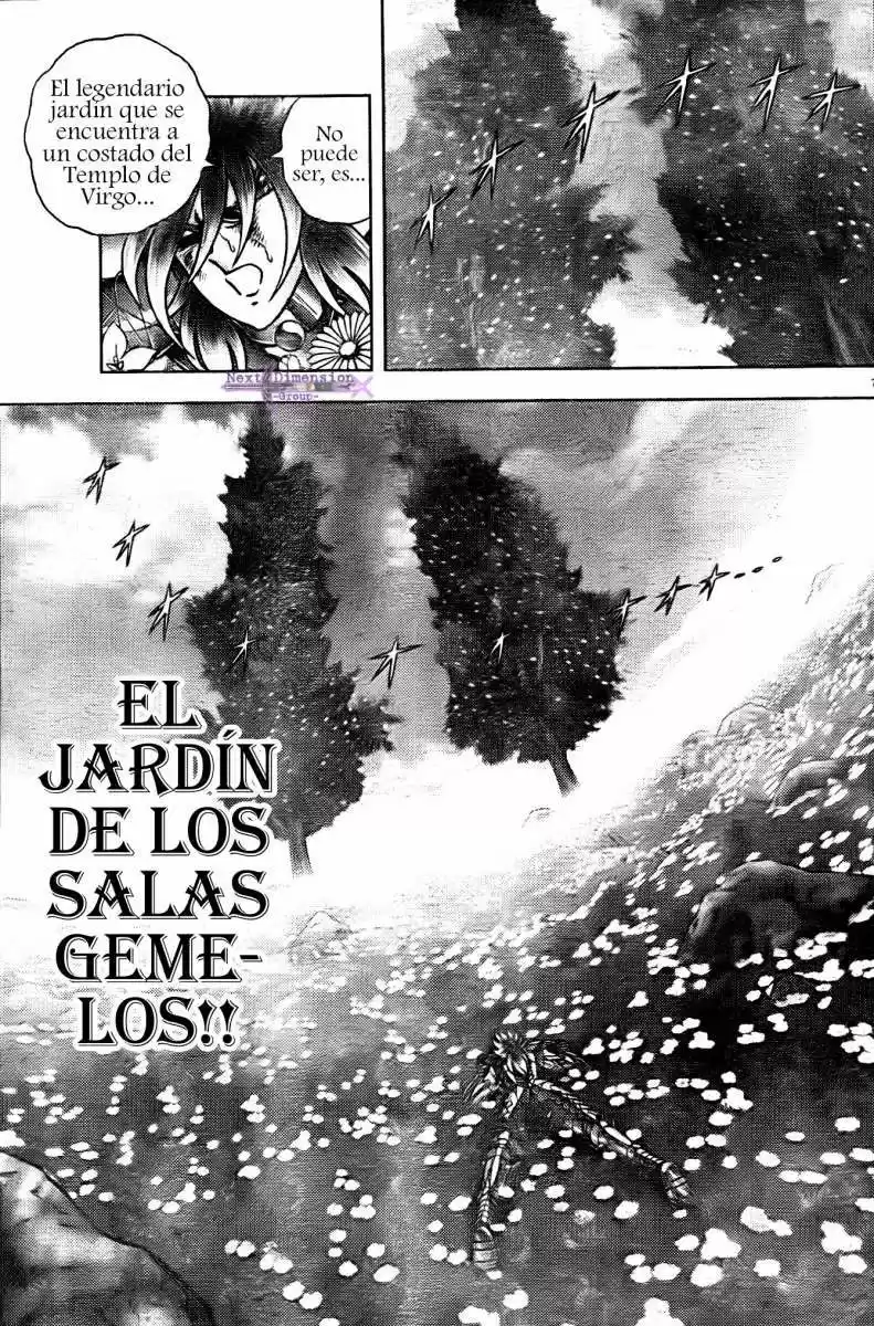 Saint Seiya: Next Dimension (2006) - Capítulo 50 - Página 7 - LectorTMOo