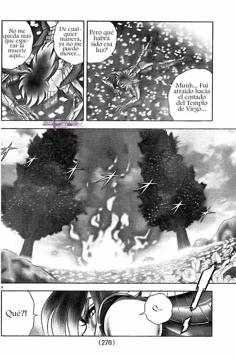Saint Seiya: Next Dimension (2006) - Capítulo 50 - Página 8 - LectorTMOo
