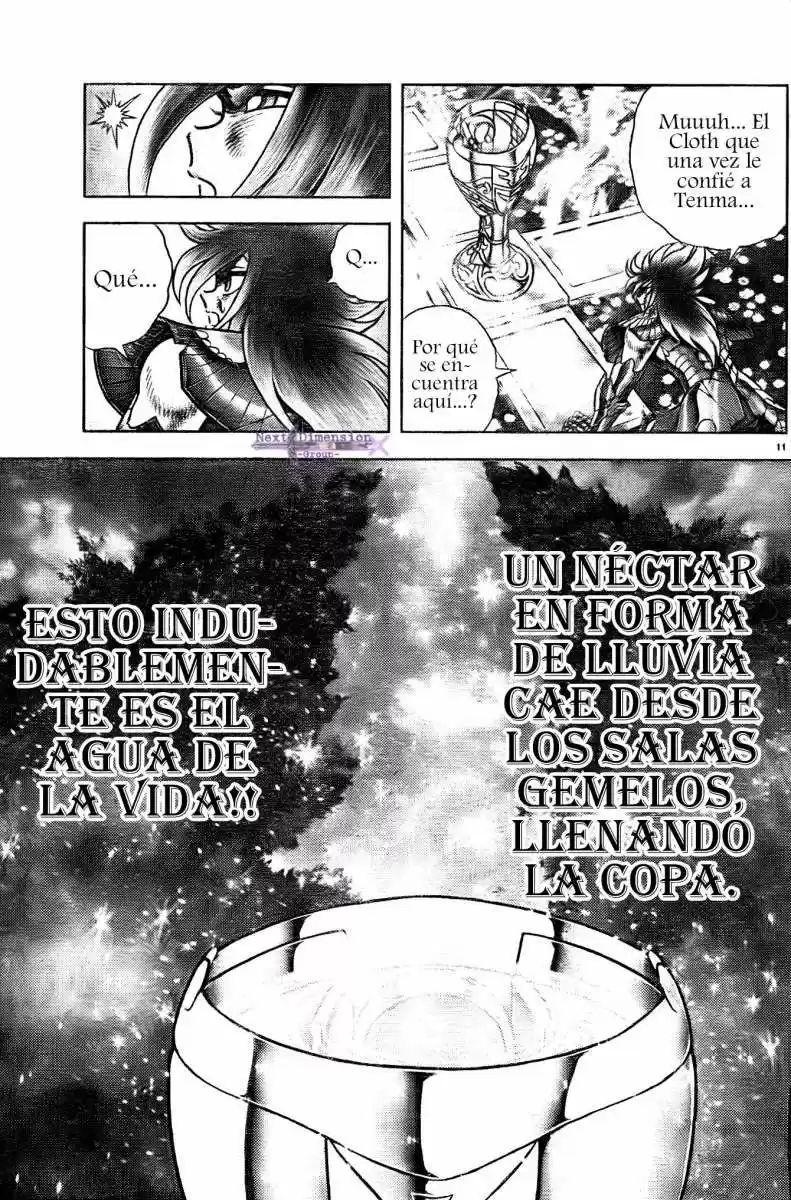 Saint Seiya: Next Dimension (2006) - Capítulo 50 - Página 10 - LectorTMOo