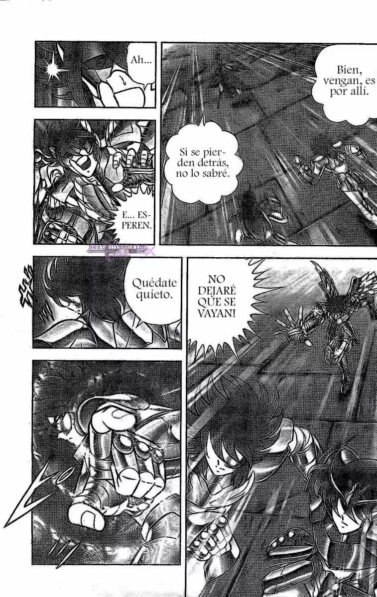 Saint Seiya: Next Dimension (2006) - Capítulo 51 - Página 17 - LectorTMOo