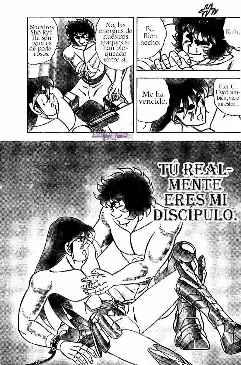 Saint Seiya: Next Dimension (2006) - Capítulo 53 - Página 9 - LectorTMOo