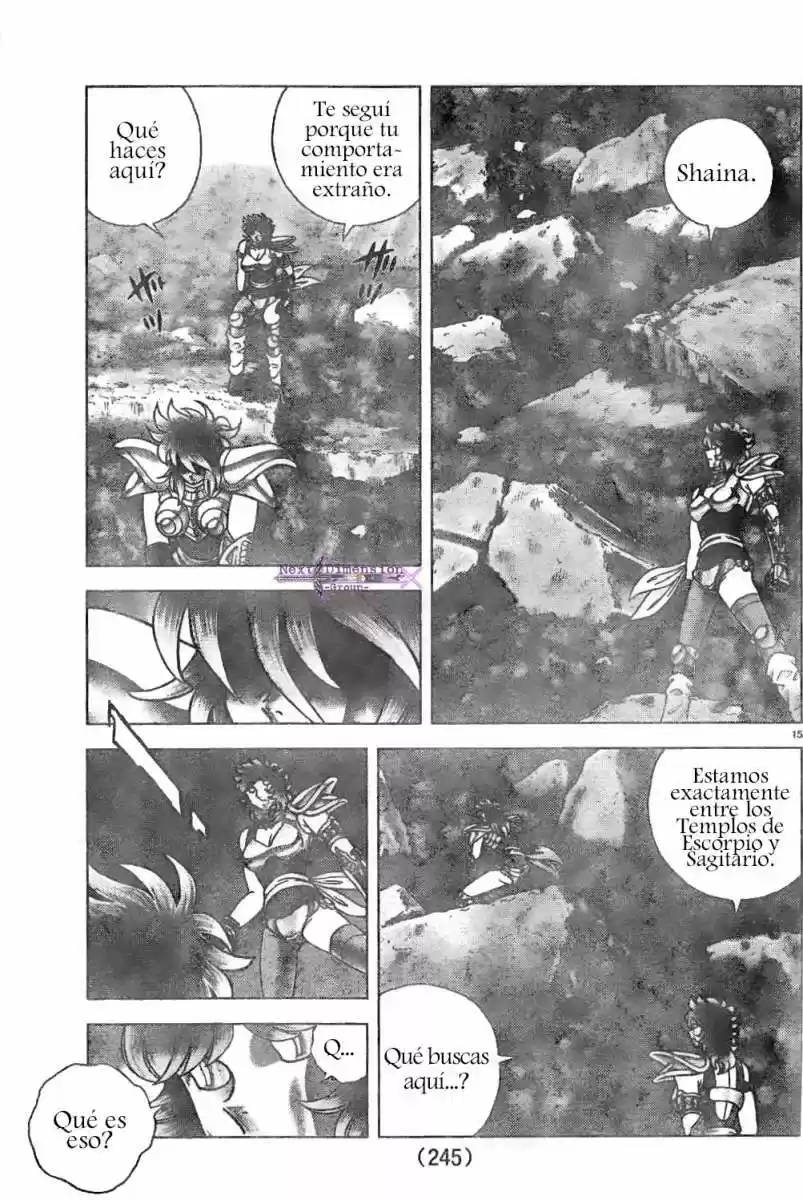 Saint Seiya: Next Dimension (2006) - Capítulo 54 - Página 14 - LectorTMOo