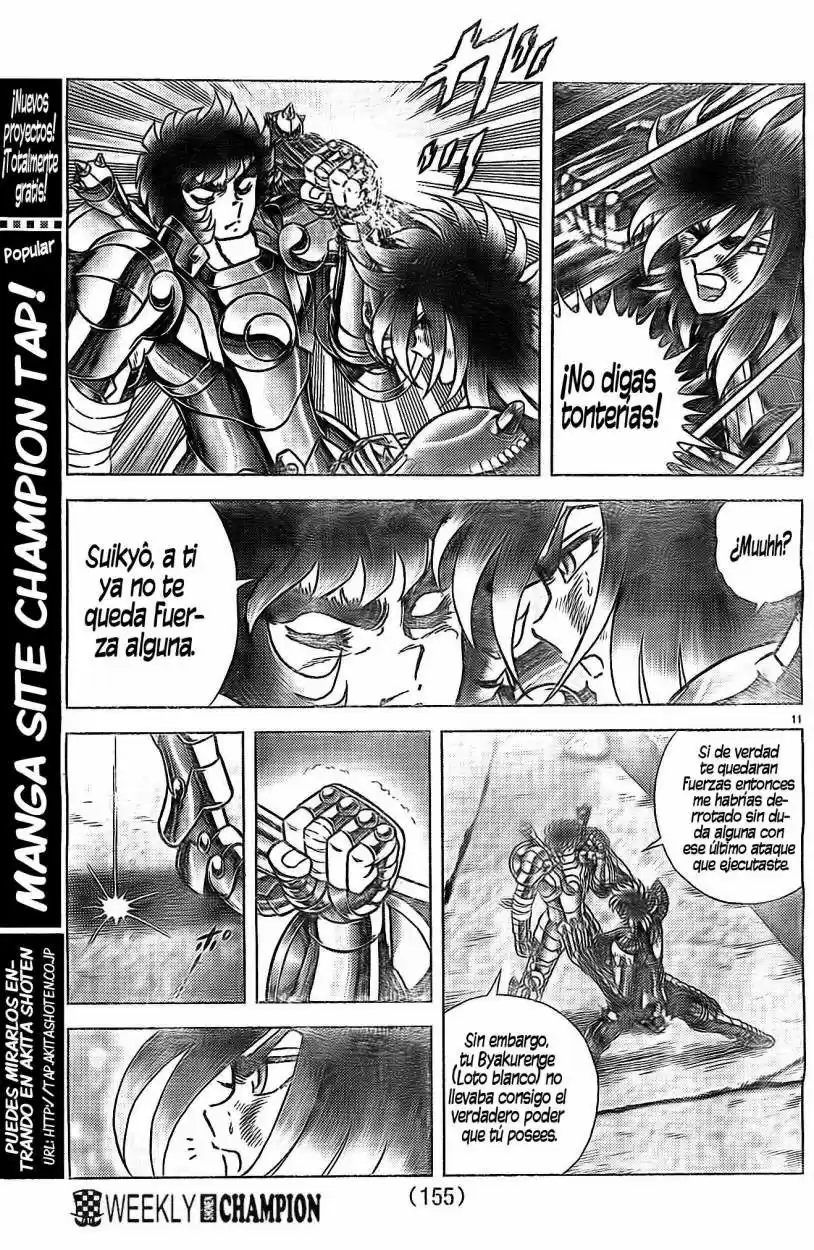 Saint Seiya: Next Dimension (2006) - Capítulo 56 - Página 10 - LectorTMOo