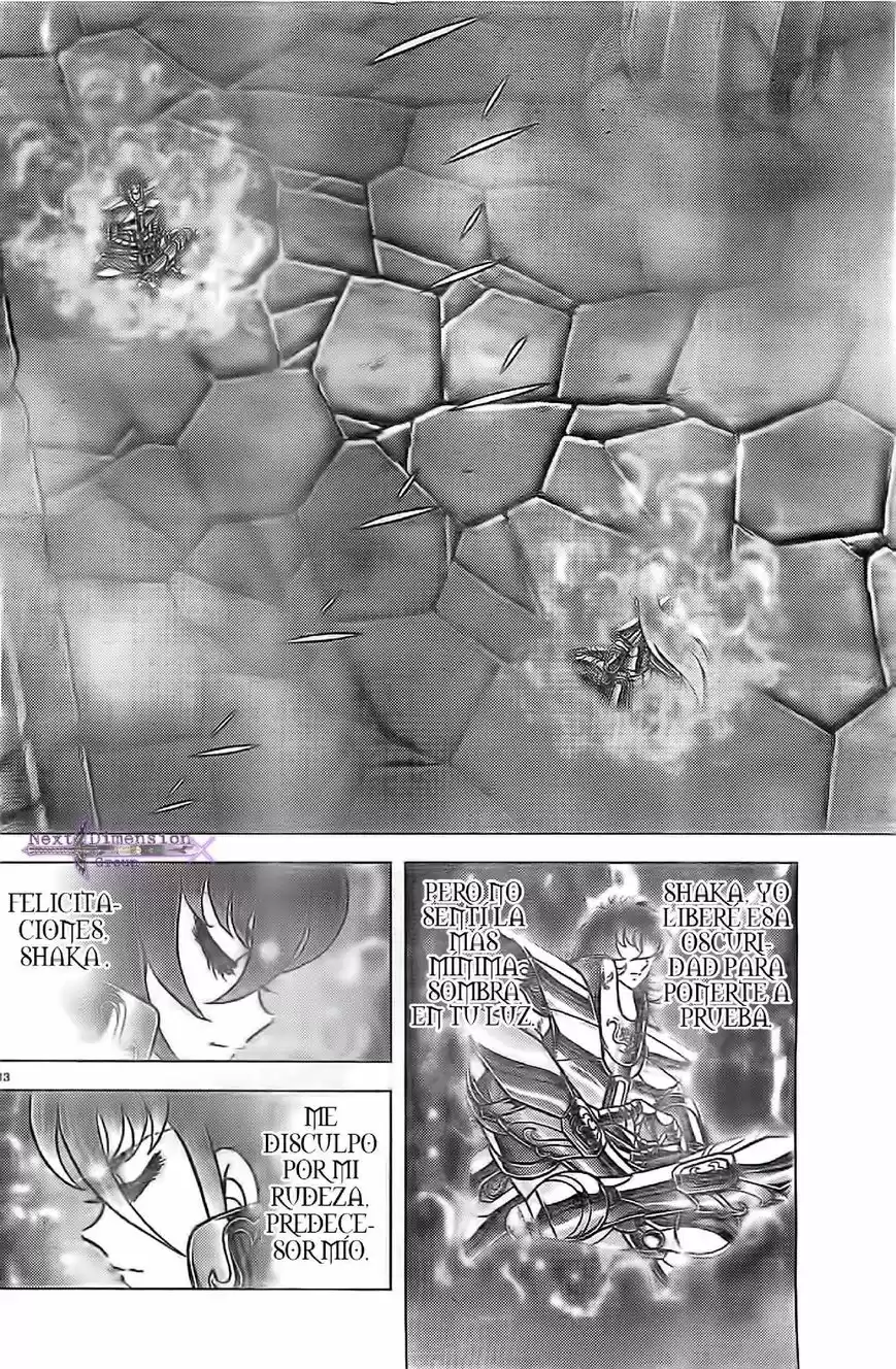 Saint Seiya: Next Dimension (2006) - Capítulo 58 - Página 10 - LectorTMOo