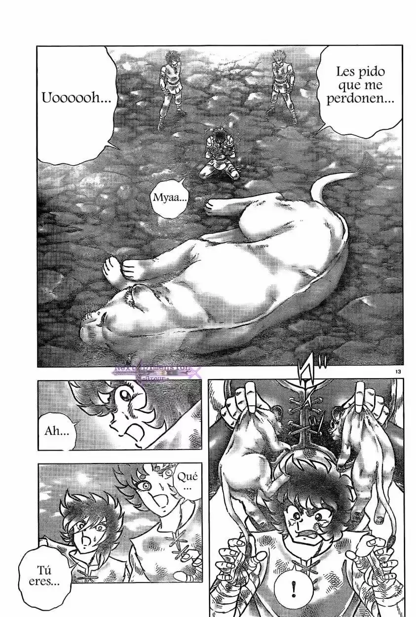 Saint Seiya: Next Dimension (2006) - Capítulo 59 - Página 12 - LectorTMOo