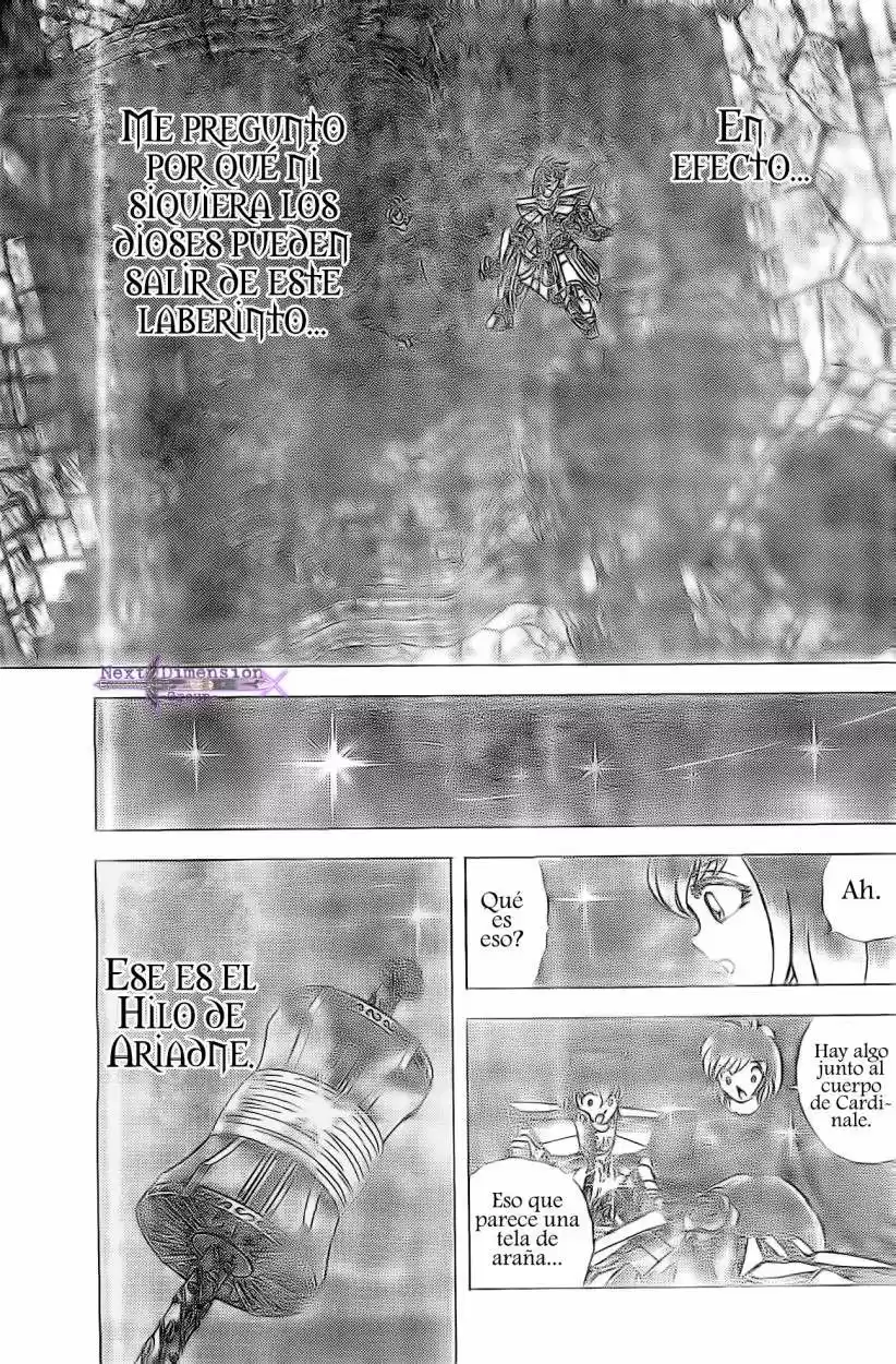 Saint Seiya: Next Dimension (2006) - Capítulo 61 - Página 15 - LectorTMOo