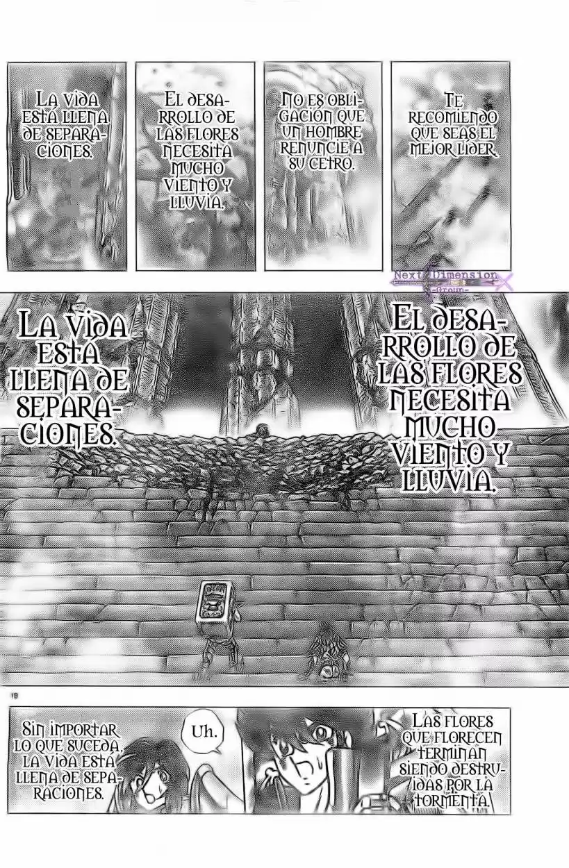 Saint Seiya: Next Dimension (2006) - Capítulo 61 - Página 18 - LectorTMOo