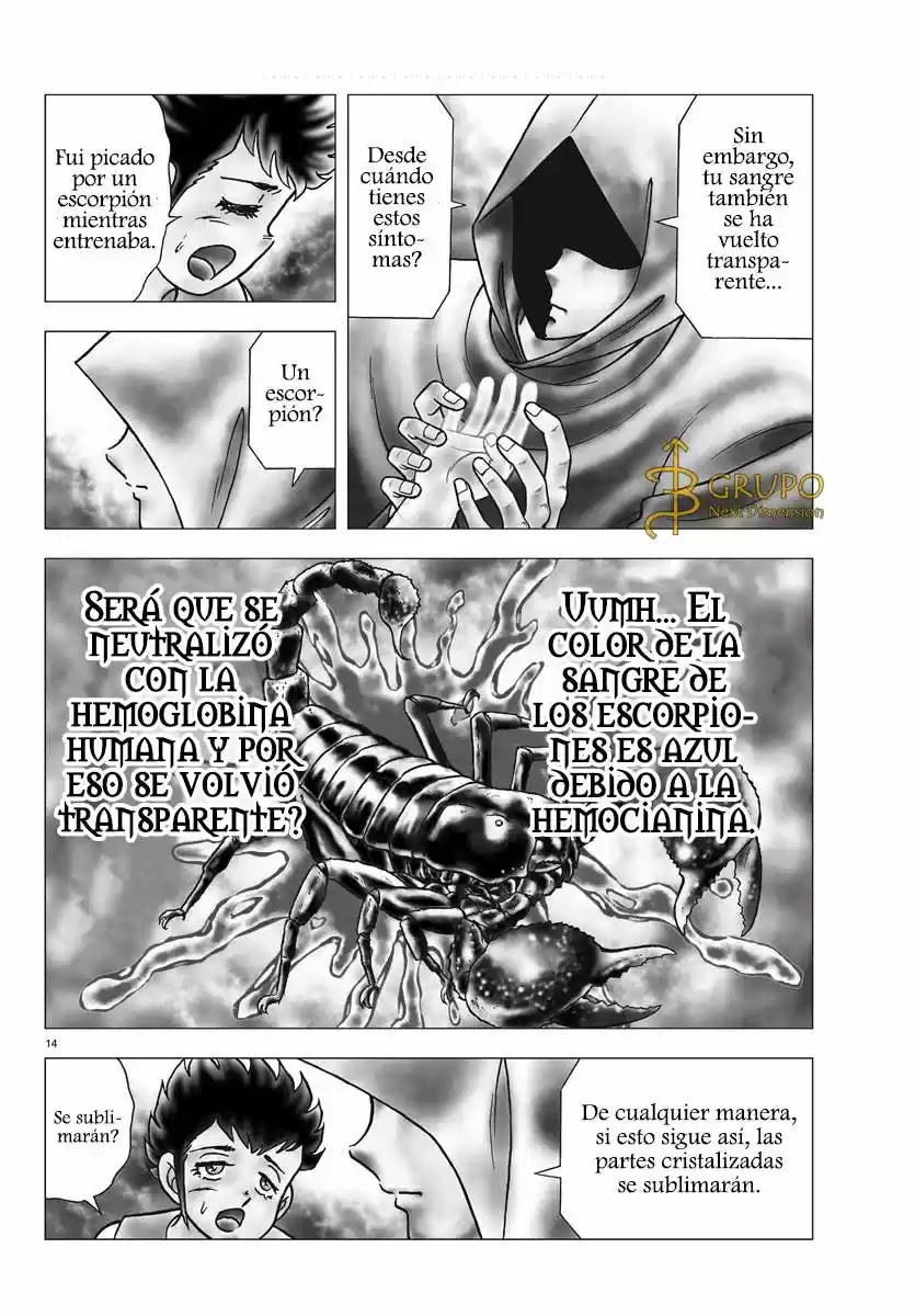 Saint Seiya: Next Dimension (2006) - Capítulo 77 - Página 14 - LectorTMOo