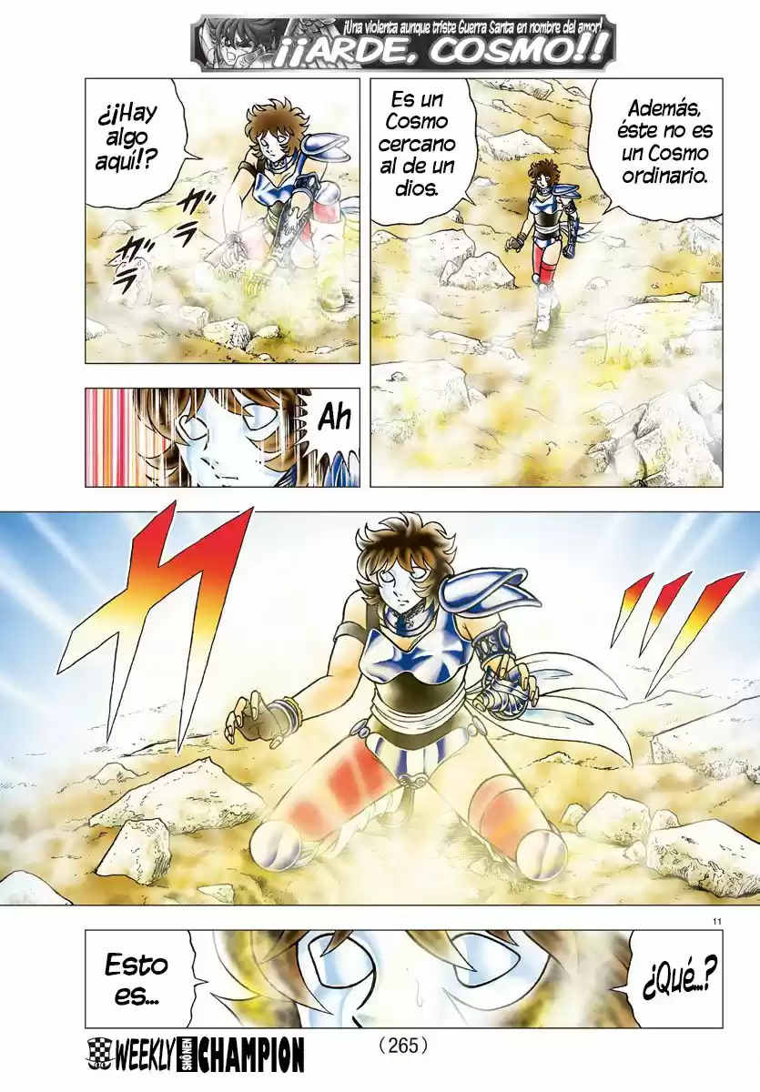 Saint Seiya: Next Dimension (2006) - Capítulo 79 - Página 11 - LectorTMOo