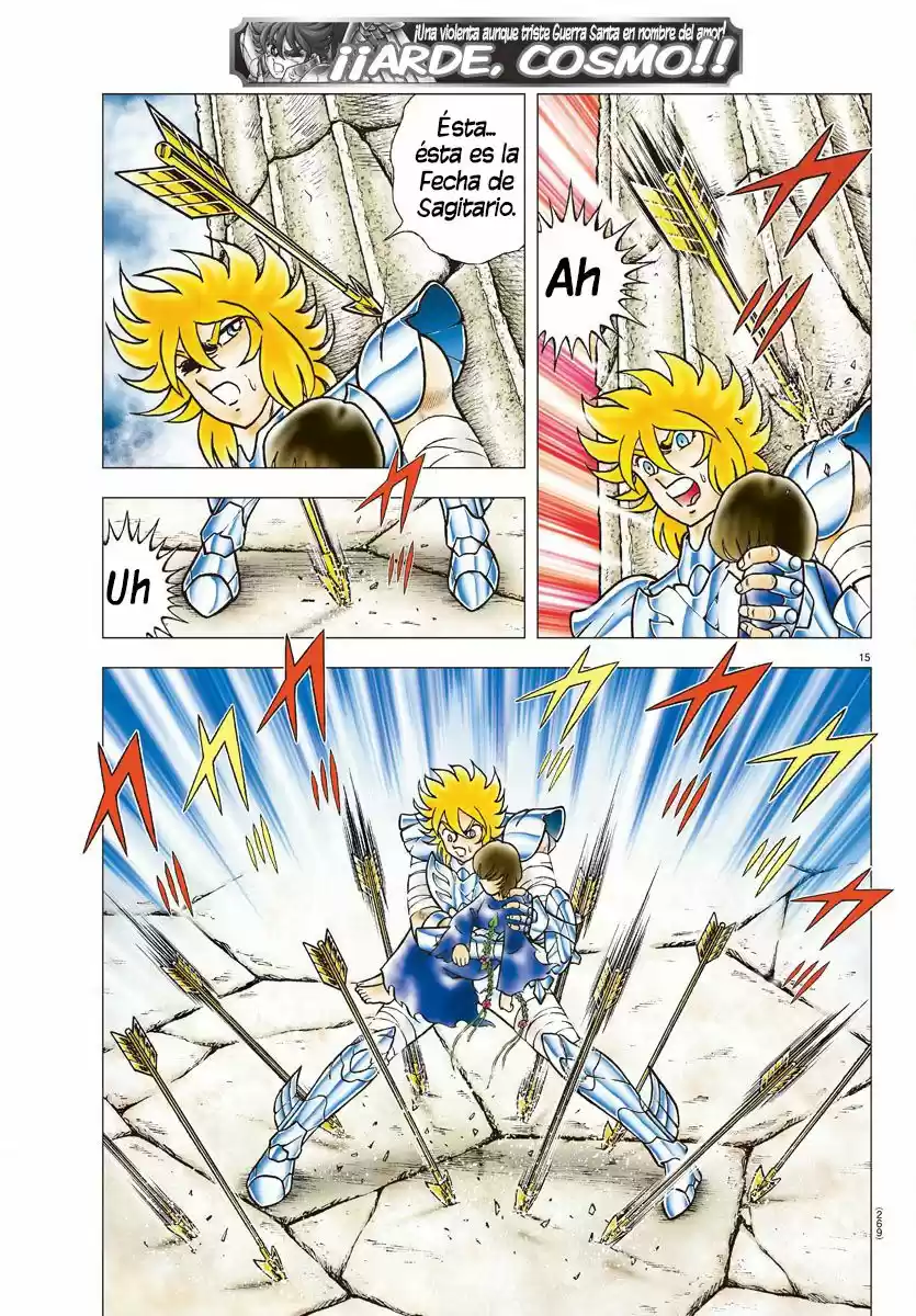 Saint Seiya: Next Dimension (2006) - Capítulo 79 - Página 15 - LectorTMOo