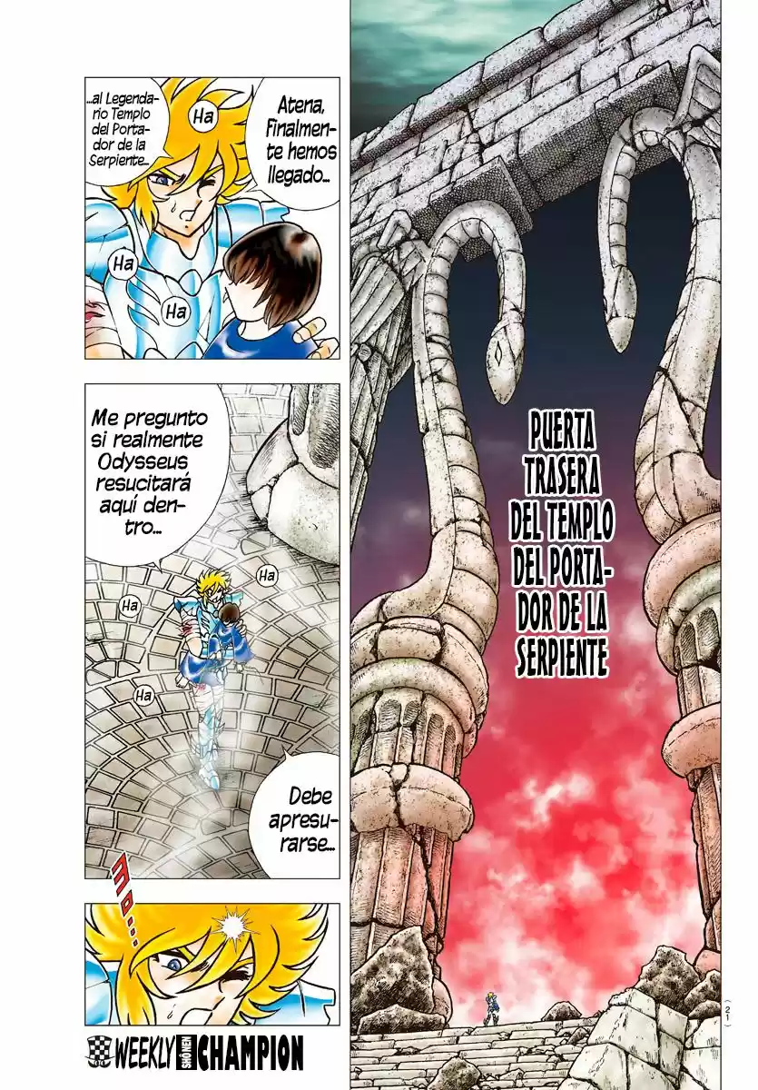 Saint Seiya: Next Dimension (2006) - Capítulo 82 - Página 13 - LectorTMOo