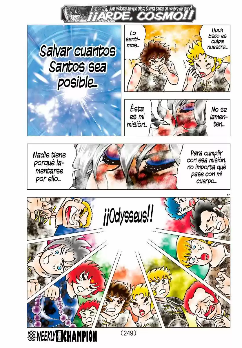 Saint Seiya: Next Dimension (2006) - Capítulo 84 - Página 17 - LectorTMOo