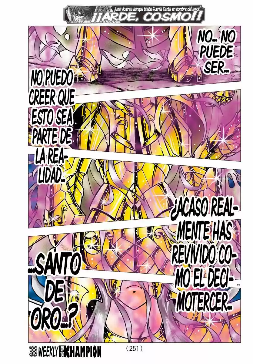 Saint Seiya: Next Dimension (2006) - Capítulo 84 - Página 19 - LectorTMOo