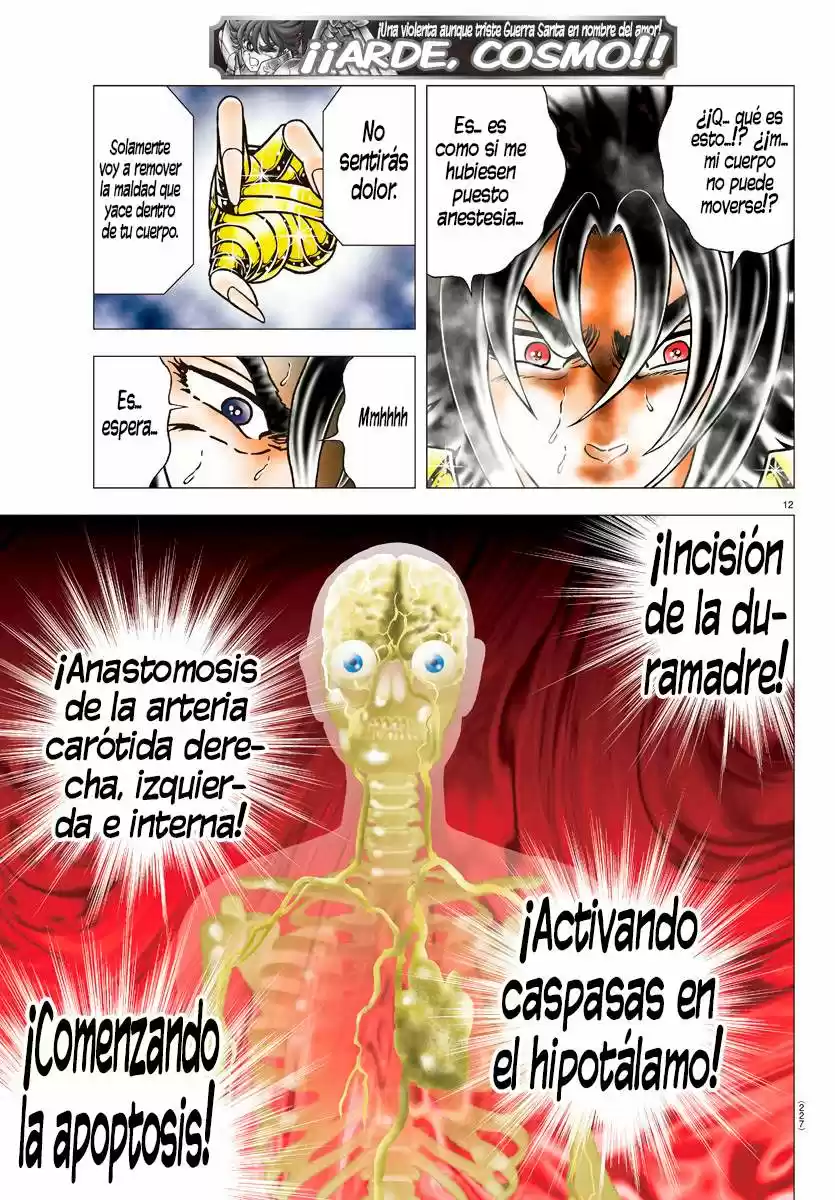 Saint Seiya: Next Dimension (2006) - Capítulo 87 - Página 12 - LectorTMOo