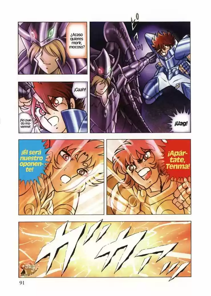 Saint Seiya: Next Dimension (2006) - Capítulo 9 - Página 13 - LectorTMOo