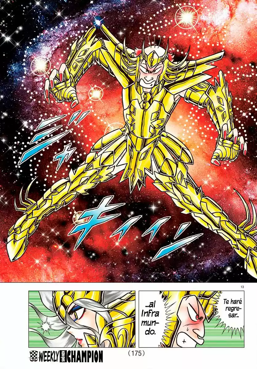 Saint Seiya: Next Dimension (2006) - Capítulo 90 - Página 13 - LectorTMOo
