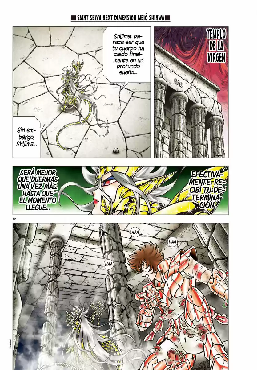 Saint Seiya: Next Dimension (2006) - Capítulo 95 - Página 10 - LectorTMOo