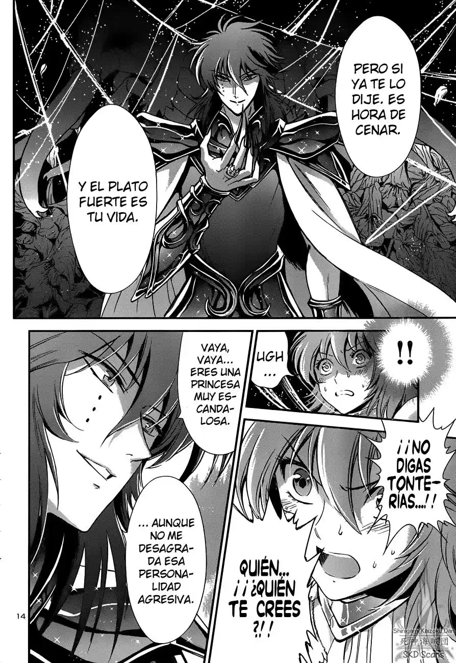 Saint Seiya Saintia Sho (2013) - Capítulo 10 - Página 15 - LectorTMOo