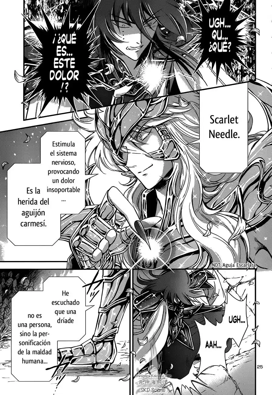 Saint Seiya Saintia Sho (2013) - Capítulo 10 - Página 25 - LectorTMOo