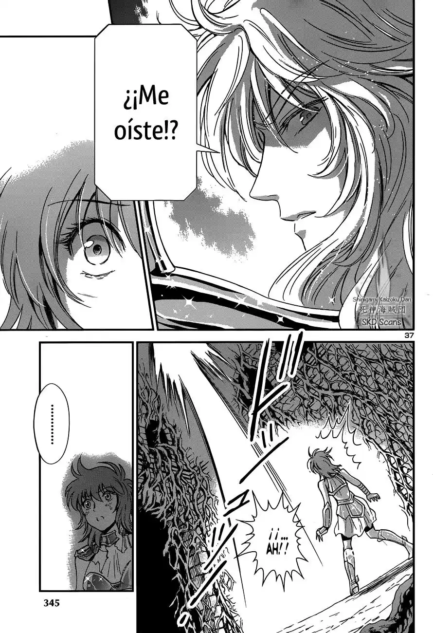Saint Seiya Saintia Sho (2013) - Capítulo 10 - Página 36 - LectorTMOo