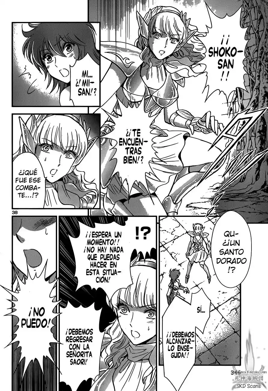 Saint Seiya Saintia Sho (2013) - Capítulo 10 - Página 37 - LectorTMOo