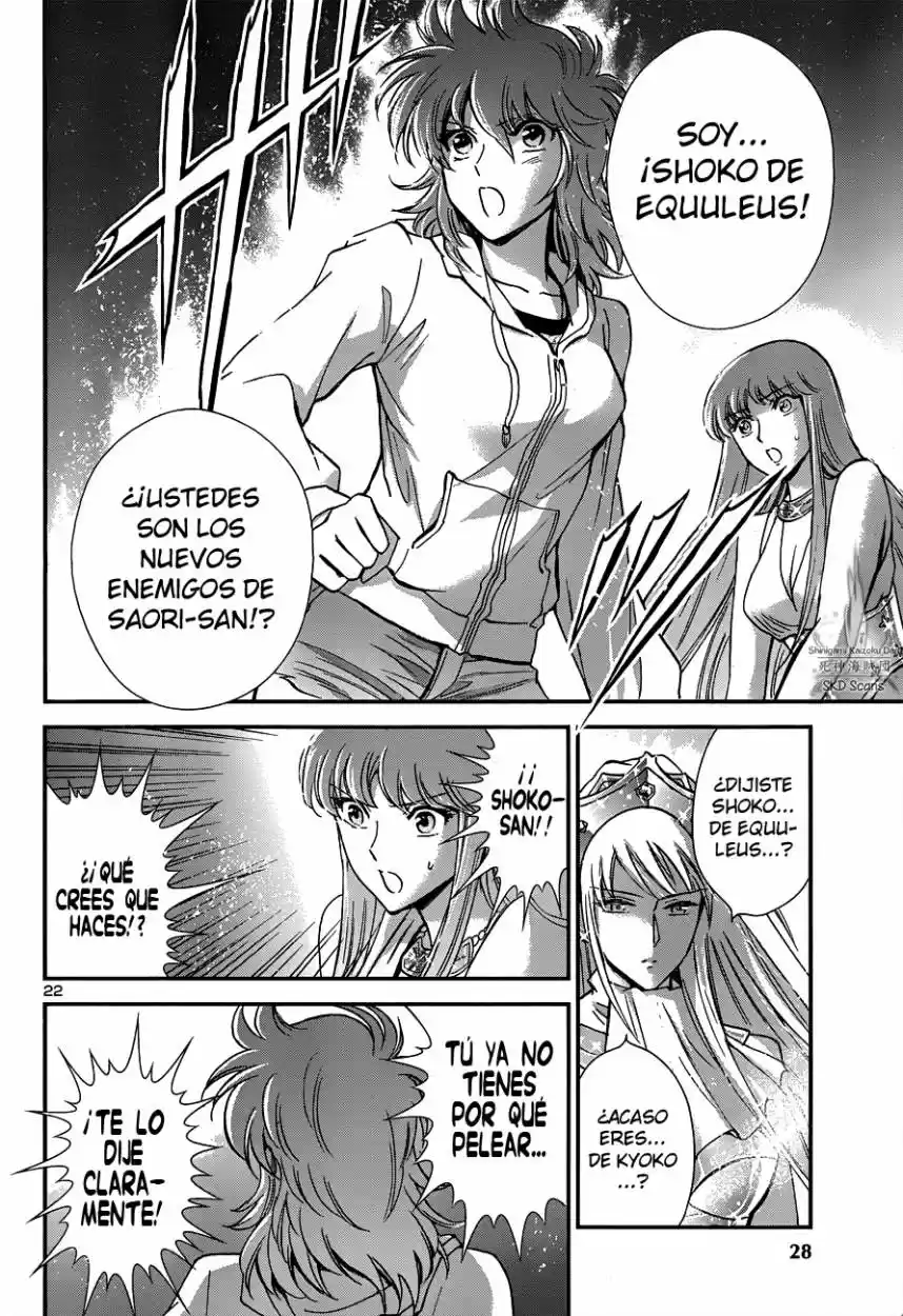 Saint Seiya Saintia Sho (2013) - Capítulo 15 - Página 28 - LectorTMOo