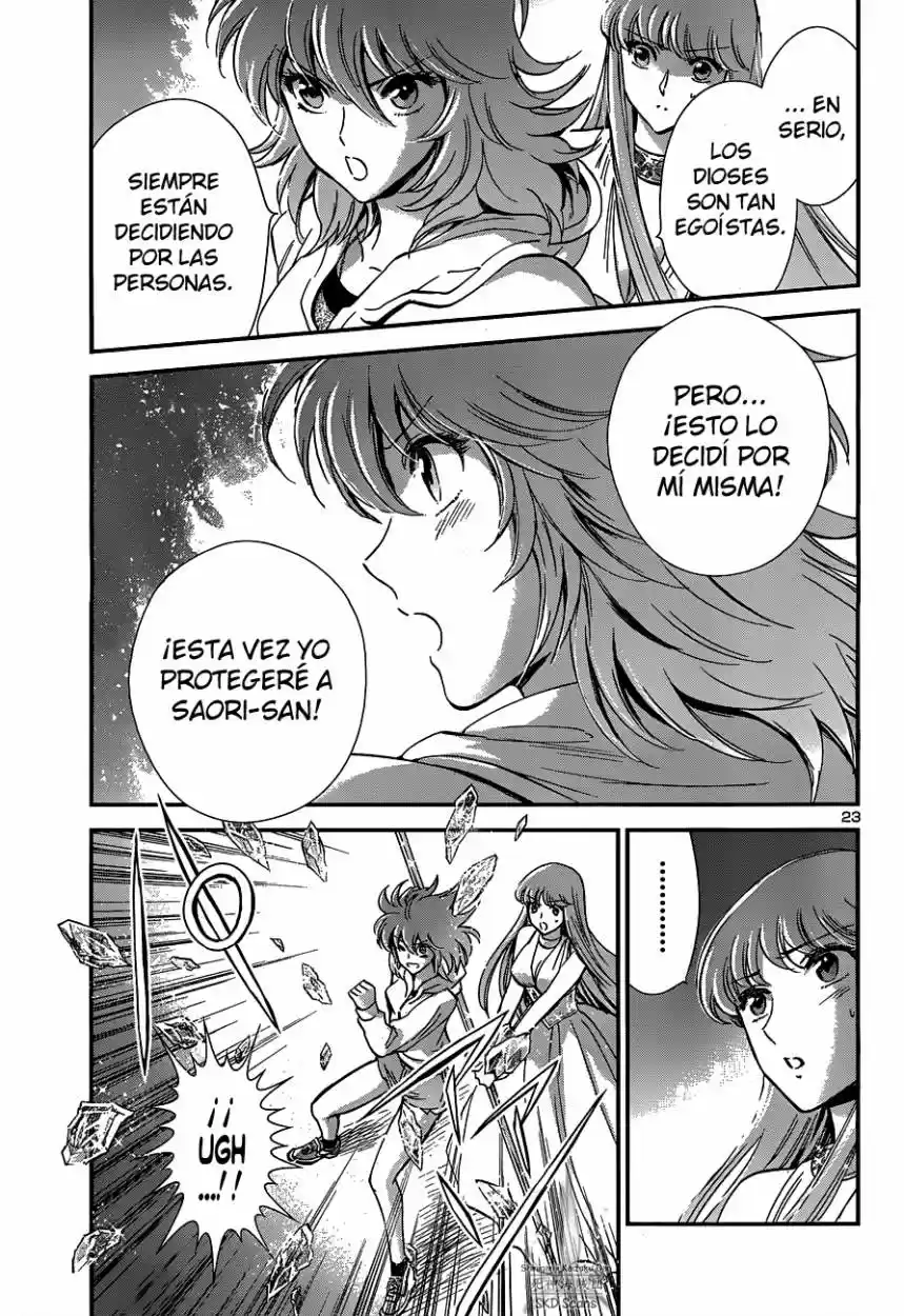 Saint Seiya Saintia Sho (2013) - Capítulo 15 - Página 29 - LectorTMOo