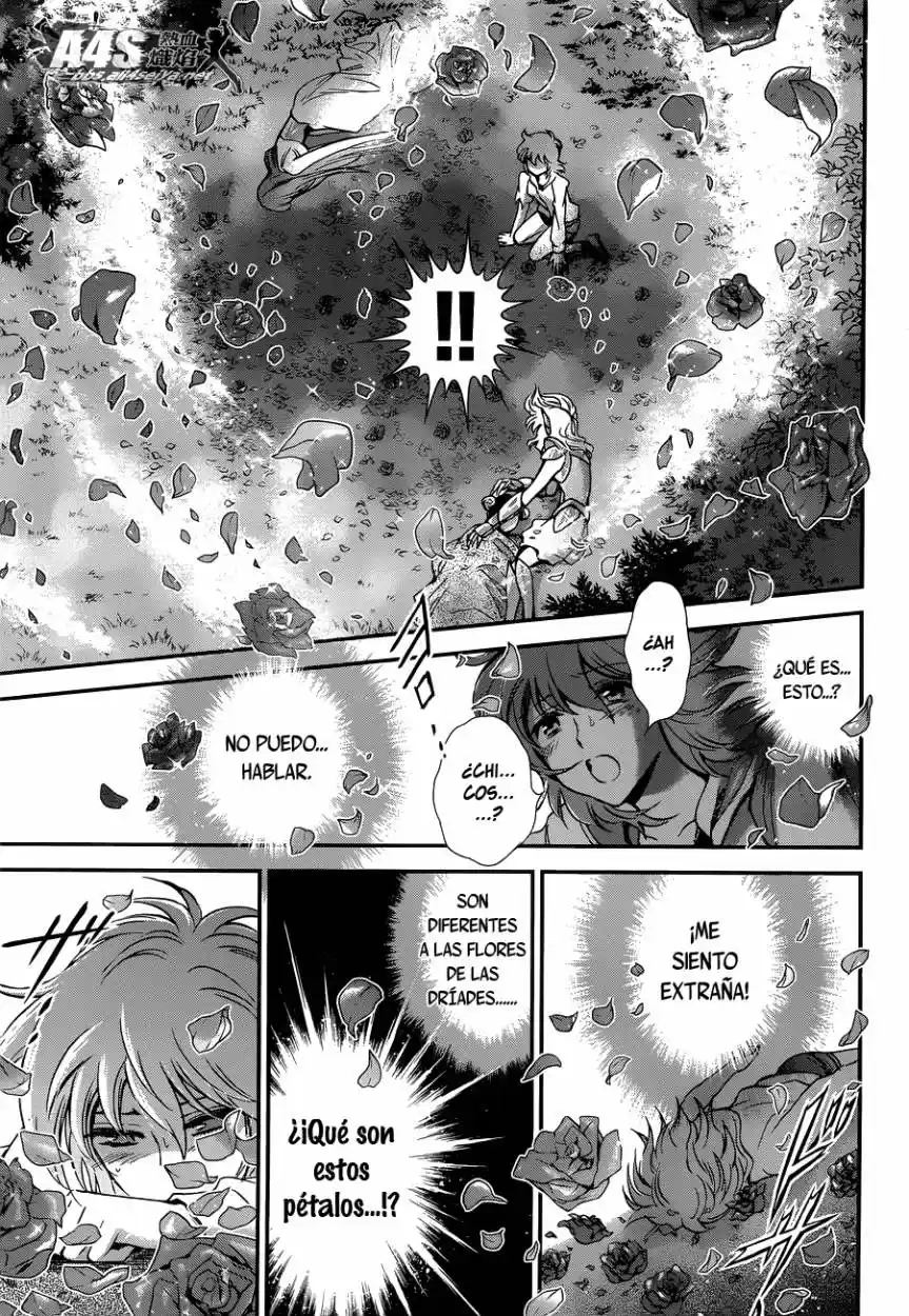 Saint Seiya Saintia Sho (2013) - Capítulo 16 - Página 29 - LectorTMOo
