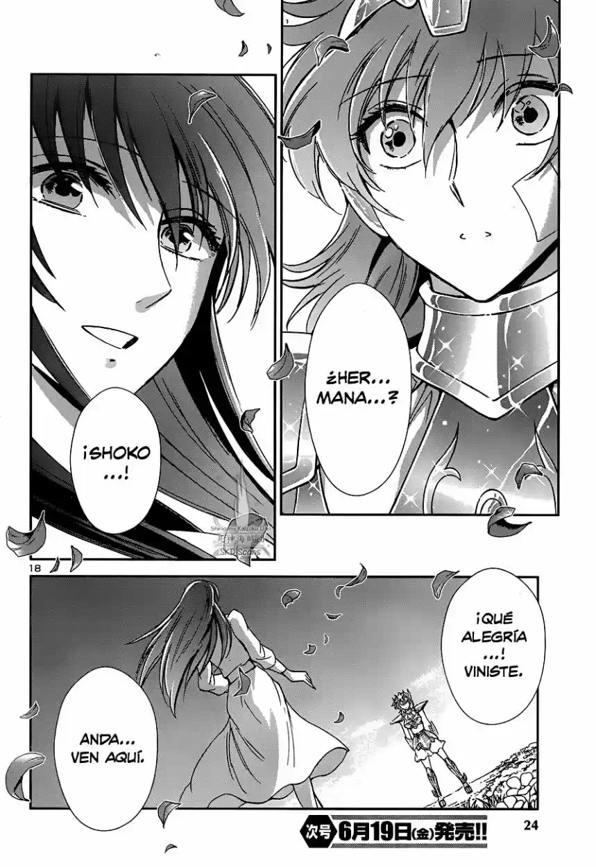Saint Seiya Saintia Sho (2013) - Capítulo 22 - Página 20 - LectorTMOo
