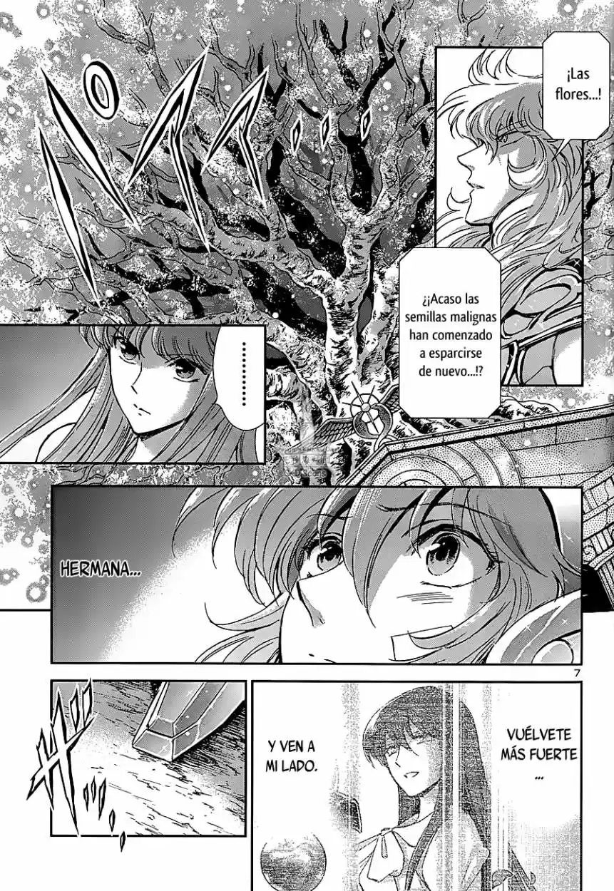 Saint Seiya Saintia Sho (2013) - Capítulo 23 - Página 6 - LectorTMOo