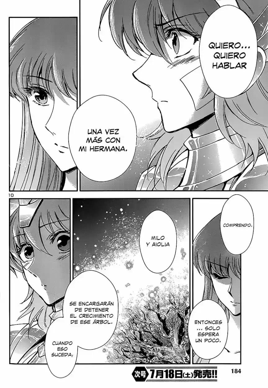 Saint Seiya Saintia Sho (2013) - Capítulo 23 - Página 9 - LectorTMOo
