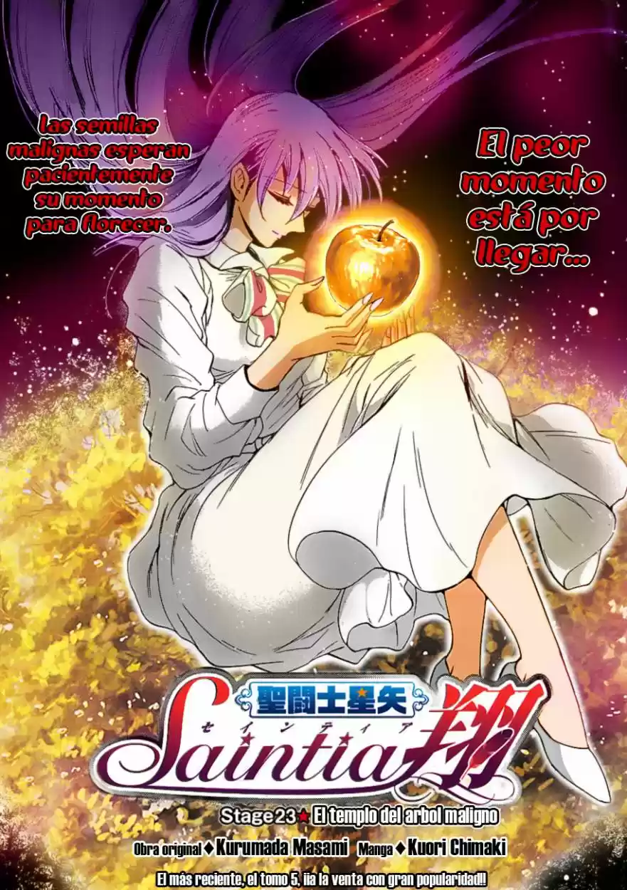 Saint Seiya Saintia Sho (2013) - Capítulo 23 - Página 22 - LectorTMOo