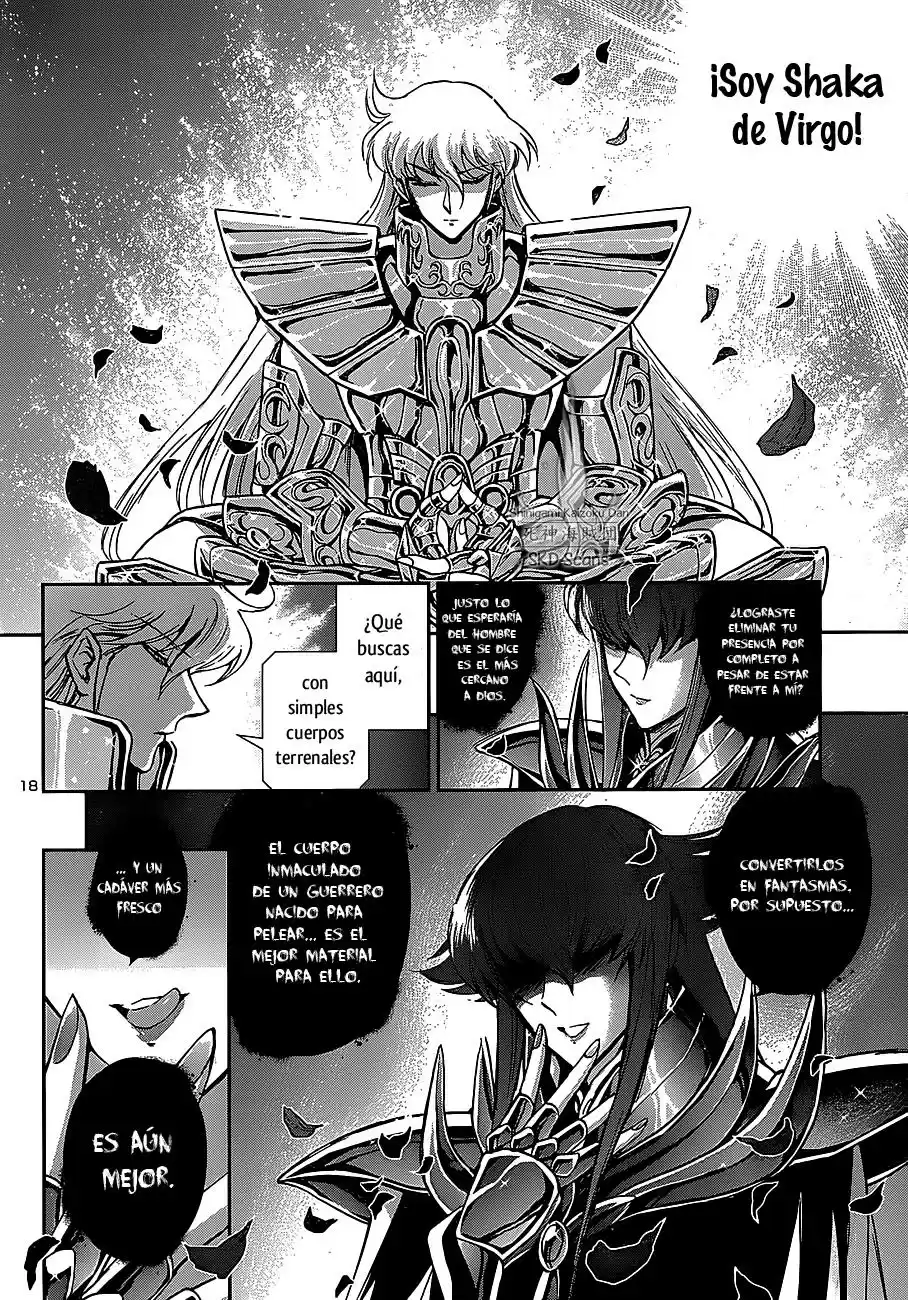 Saint Seiya Saintia Sho (2013) - Capítulo 26 - Página 17 - LectorTMOo