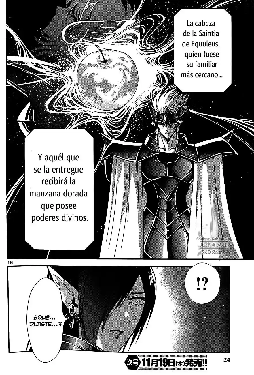 Saint Seiya Saintia Sho (2013) - Capítulo 27 - Página 17 - LectorTMOo