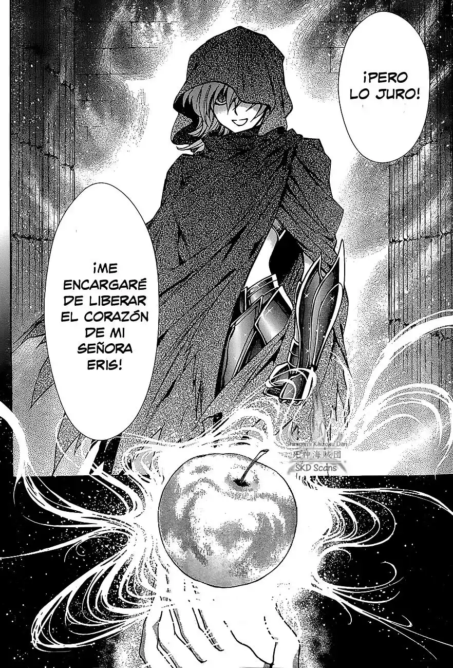 Saint Seiya Saintia Sho (2013) - Capítulo 27 - Página 19 - LectorTMOo