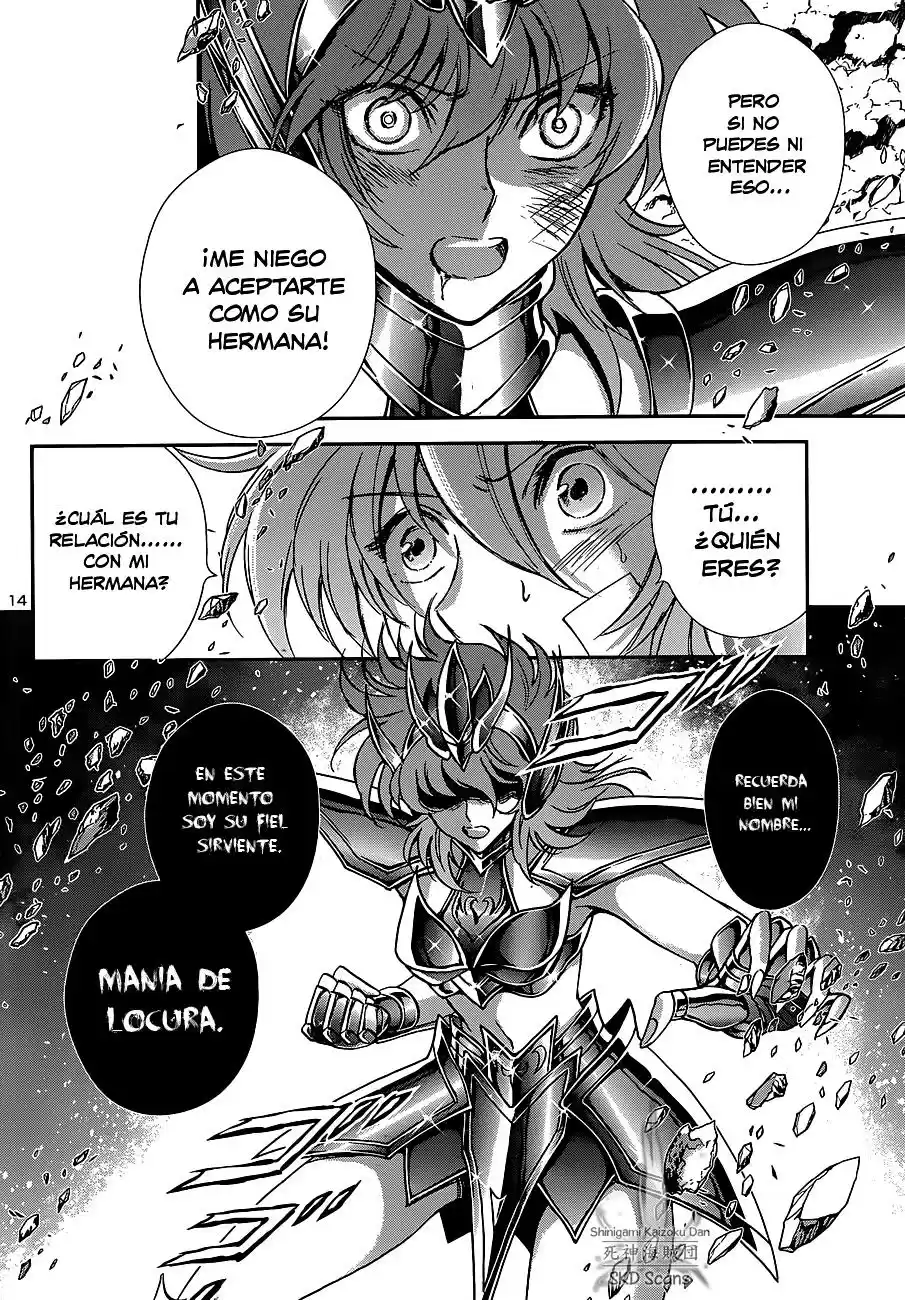 Saint Seiya Saintia Sho (2013) - Capítulo 28 - Página 14 - LectorTMOo