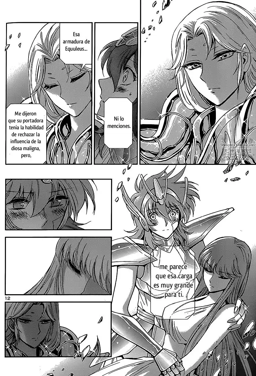 Saint Seiya Saintia Sho (2013) - Capítulo 29 - Página 14 - LectorTMOo