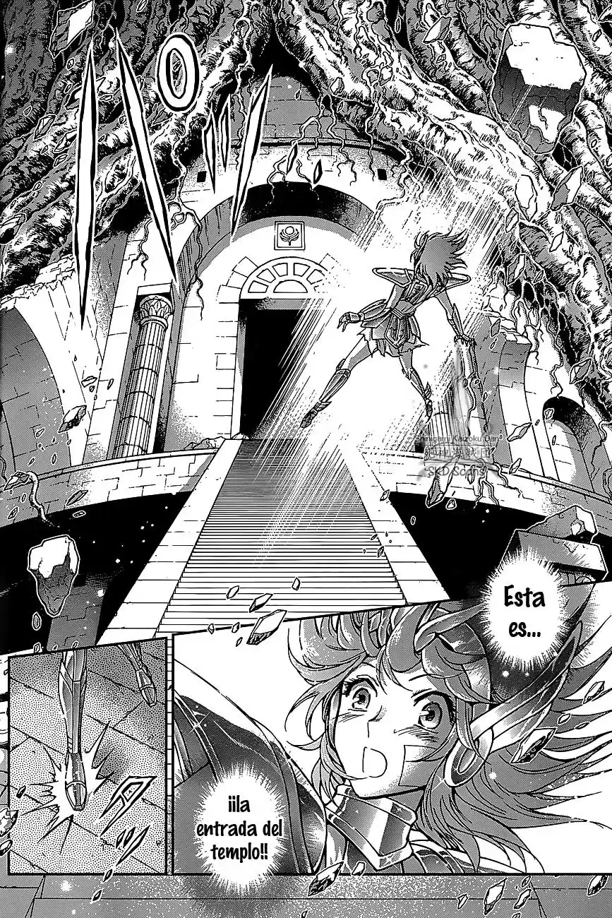 Saint Seiya Saintia Sho (2013) - Capítulo 29 - Página 22 - LectorTMOo