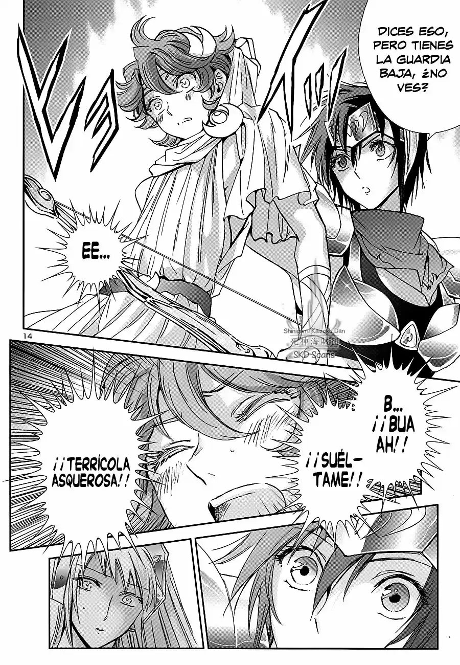 Saint Seiya Saintia Sho (2013) - Capítulo 34 - Página 15 - LectorTMOo