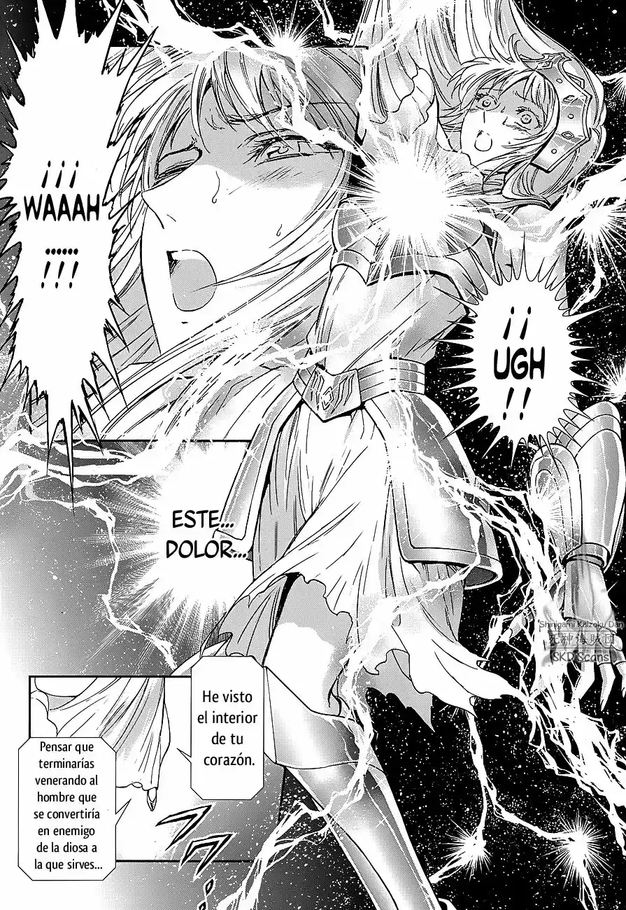 Saint Seiya Saintia Sho (2013) - Capítulo 38 - Página 17 - LectorTMOo