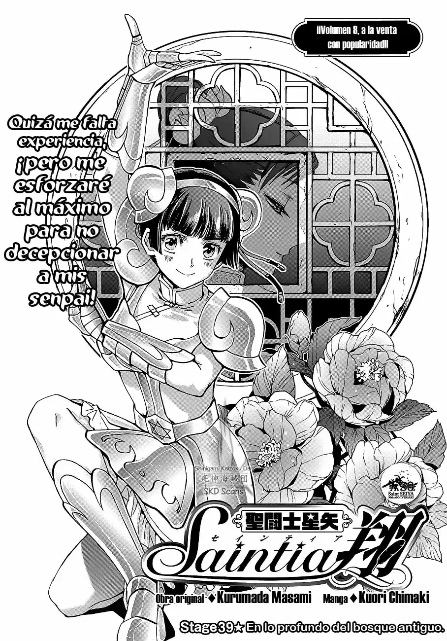 Saint Seiya Saintia Sho (2013) - Capítulo 39 - Página 2 - LectorTMOo
